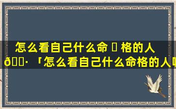 怎么看自己什么命 ☘ 格的人 🕷 「怎么看自己什么命格的人呢」